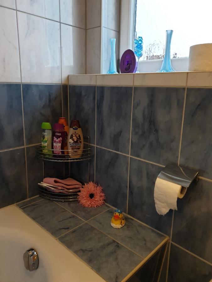 Schoene Grosse Ferienwohnung Im Mittelrheintal Nahe Loreley Bornich Exteriér fotografie