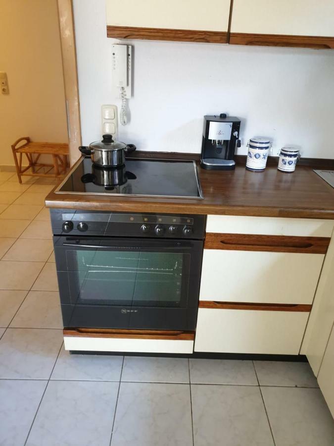 Schoene Grosse Ferienwohnung Im Mittelrheintal Nahe Loreley Bornich Exteriér fotografie